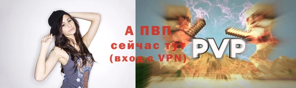 дмт Белокуриха