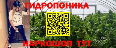 дмт Волжский