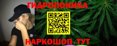 прущие крисы Волгодонск
