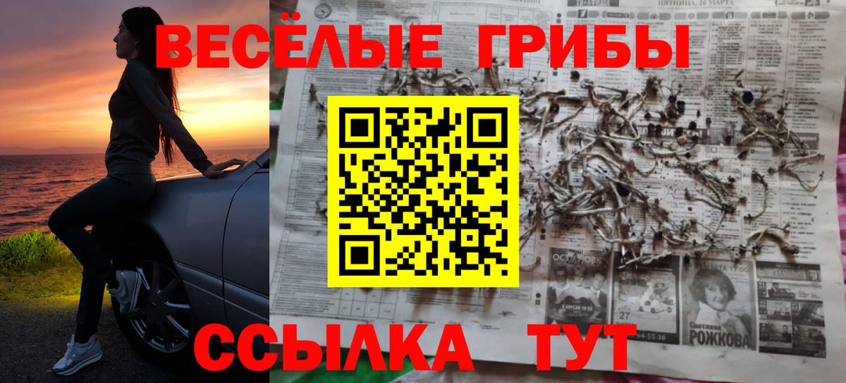 Минеральные Воды  Псилоцибиновые грибы ЛСД  Вход с VPN 